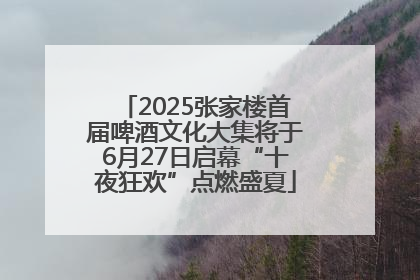 2025张家楼首届啤酒文化大集将于6月27日启幕“十夜狂欢”点燃盛夏
