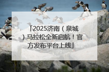 2025济南（泉城）马拉松全新启航！官方发布平台上线