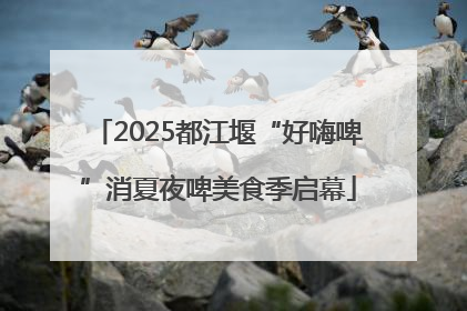 2025都江堰“好嗨啤”消夏夜啤美食季启幕