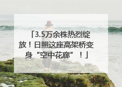 3.5万余株热烈绽放！日照这座高架桥变身“空中花廊”！