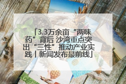 3.3万余亩“两味药”背后 沙湾重点突出“三性”推动产业实践丨新闻发布最前线