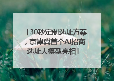 30秒定制选址方案，京津冀首个AI招商选址大模型亮相