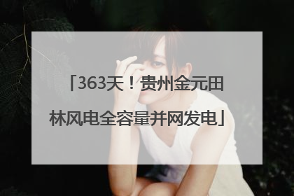 363天！贵州金元田林风电全容量并网发电