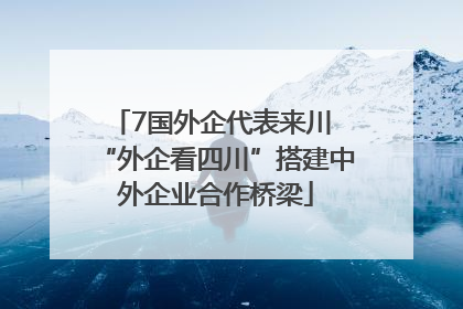 7国外企代表来川 “外企看四川”搭建中外企业合作桥梁
