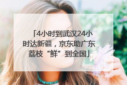 4小时到武汉24小时达新疆，京东助广东荔枝“鲜”到全国