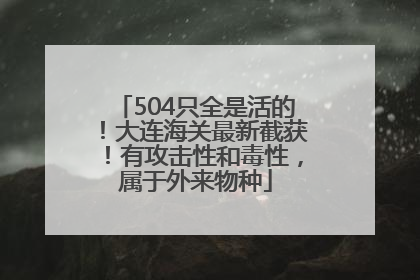 504只全是活的！大连海关最新截获！有攻击性和毒性，属于外来物种
