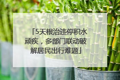5天根治违停积水顽疾，多部门联动破解居民出行难题