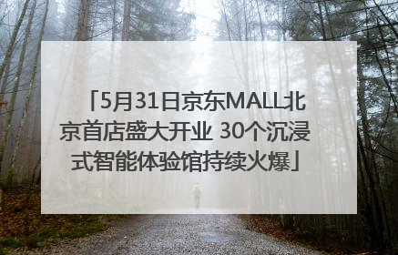 5月31日京东MALL北京首店盛大开业 30个沉浸式智能体验馆持续火爆