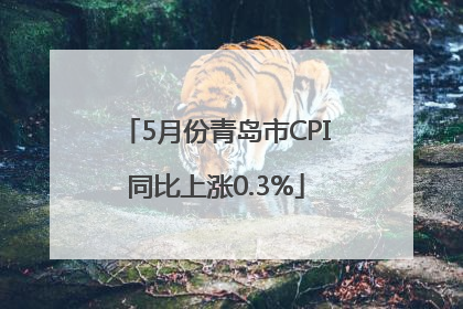 5月份青岛市CPI同比上涨0.3%
