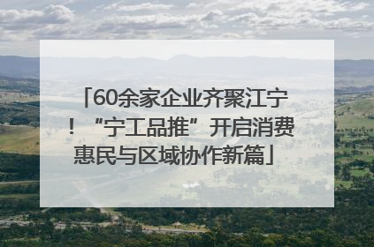 60余家企业齐聚江宁！“宁工品推”开启消费惠民与区域协作新篇