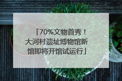 70%文物首秀！大河村遗址博物馆新馆即将开馆试运行