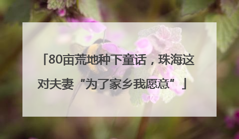 80亩荒地种下童话,珠海这对夫妻“为了家乡我愿意”