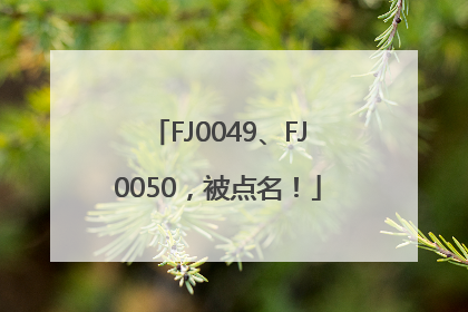 FJ0049、FJ0050，被点名！
