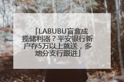 LABUBU盲盒成揽储利器？平安银行新户存5万以上就送，多地分支行跟进
